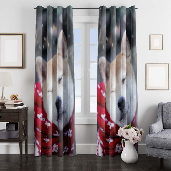 akita dog window curtains