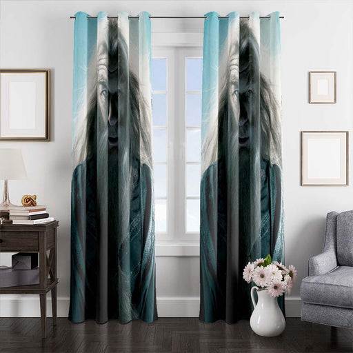 albus harry potter window curtains