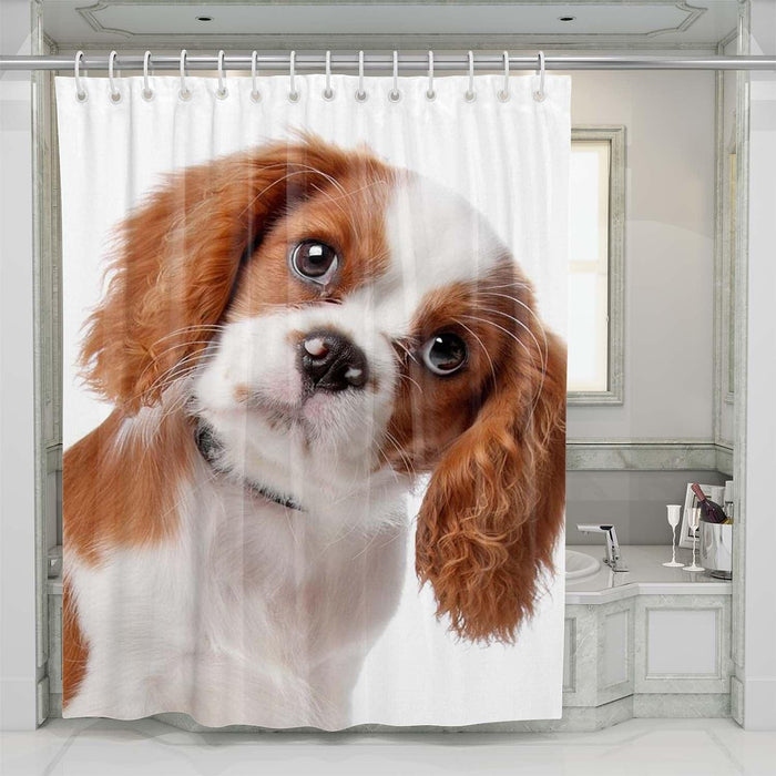 baby dog so cute shower curtains