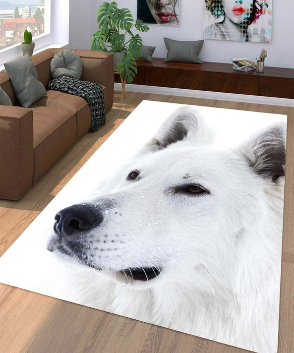 black and white dog Living room carpet rugs