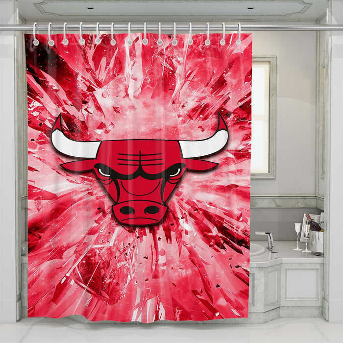 chicago bulls nba team 2 shower curtains