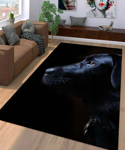 black dog low light Living room carpet rugs