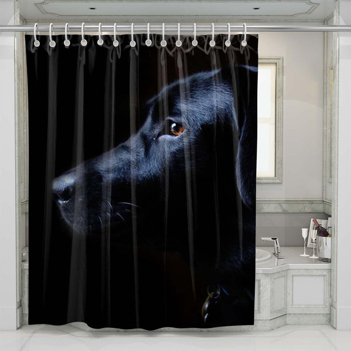 black dog low light shower curtains