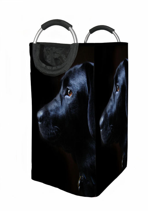 black dog low light Laundry Hamper | Laundry Basket