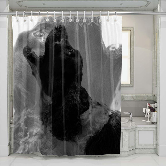 black dog roar shower curtains