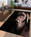 brown eyes of dog Living room carpet rugs