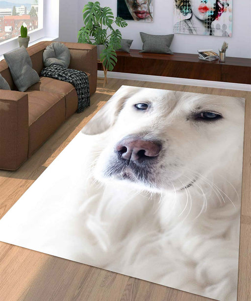 calm dog Living room carpet rugs