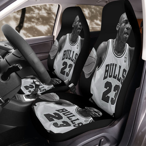 bulls legend power Car Seat Covers