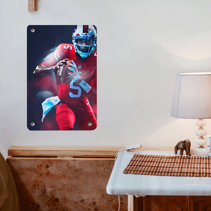 catching the ball nfl Poster Metal print wall art