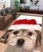 christmas dog Living room carpet rugs