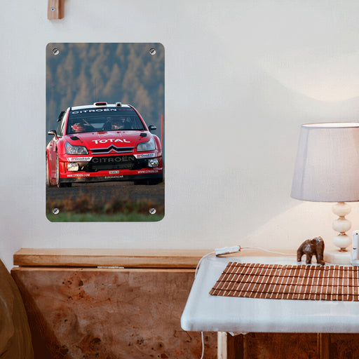 citroen total car racing Poster Metal print wall art