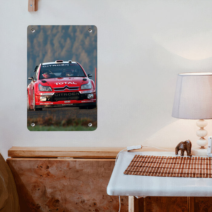 citroen total car racing Poster Metal print wall art