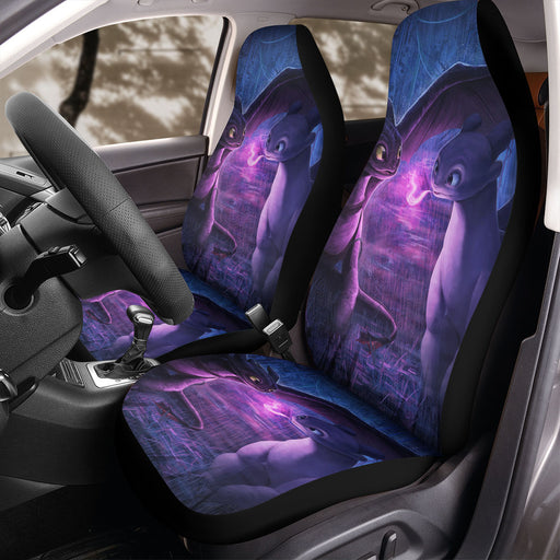 couple of dragon how to train your dragon Car Seat Covers