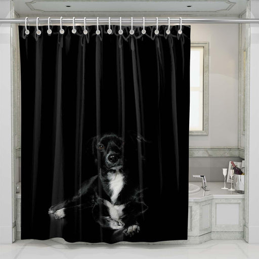 darkness dog shower curtains