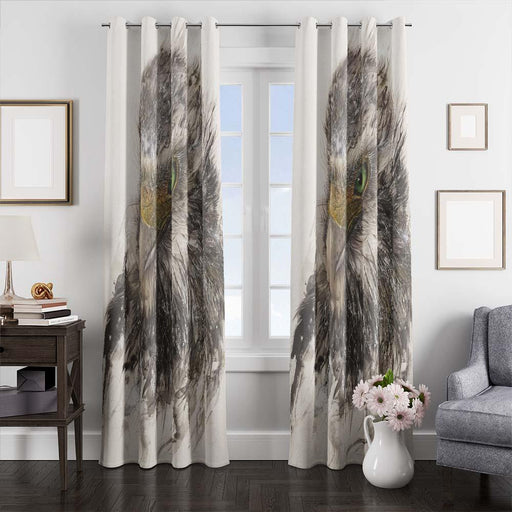 eagle painting window curtains