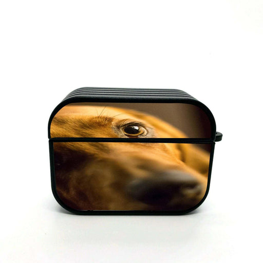 eyes of brown dog airpods case