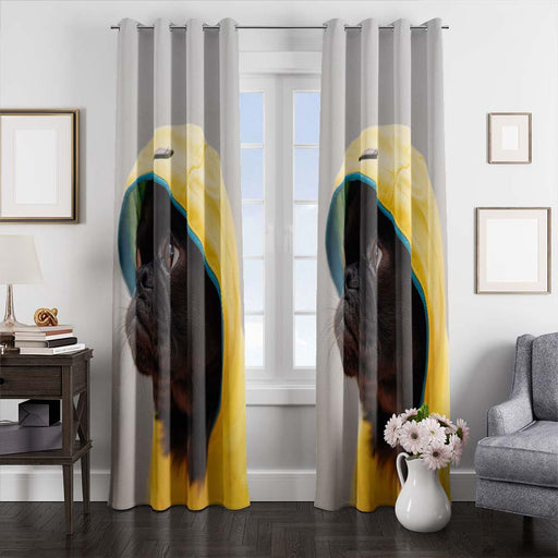 fashion dog window curtains