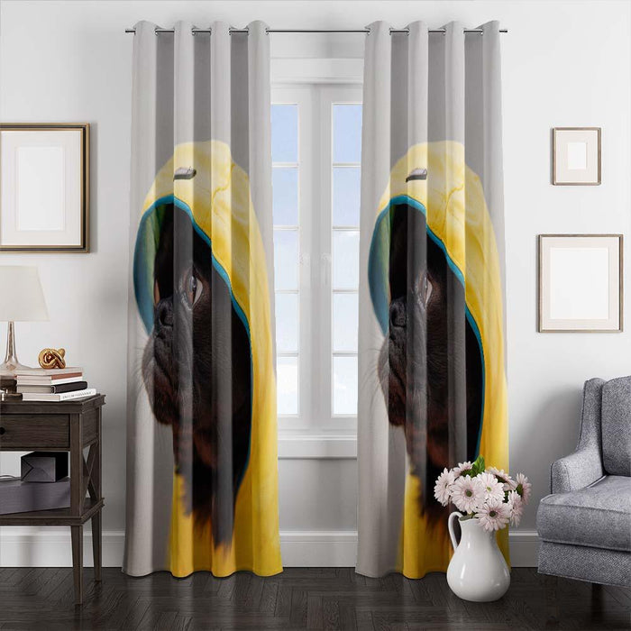 fashion dog window curtains