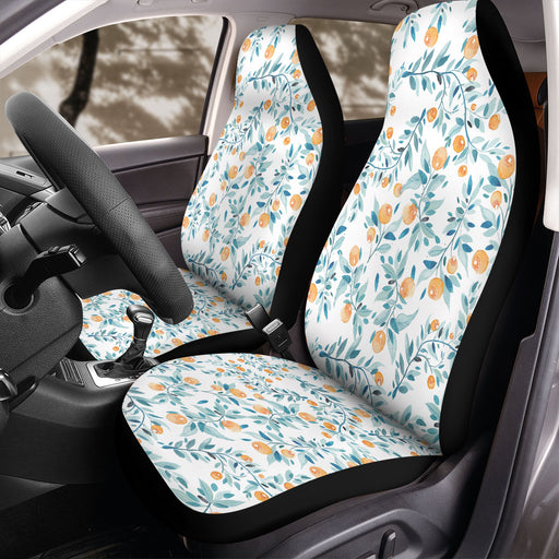 fruit watercolor painting Car Seat Covers