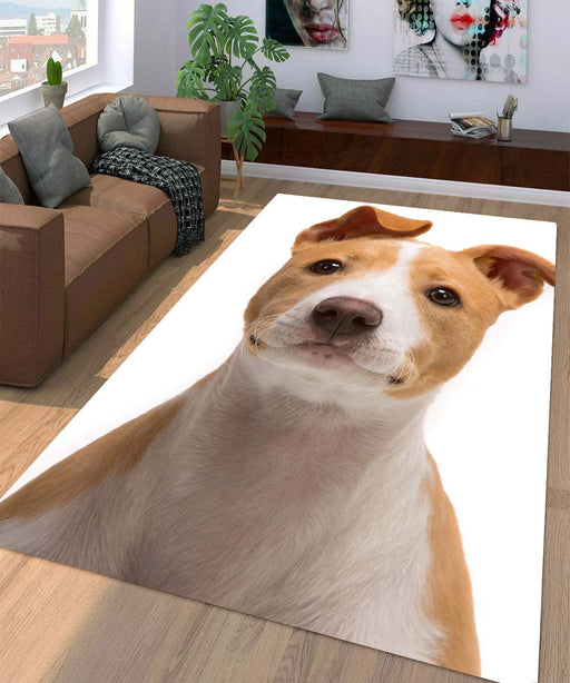 happy dog Living room carpet rugs