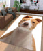 happy dog Living room carpet rugs