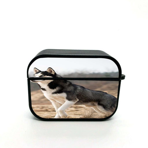 husky dog black white airpods case