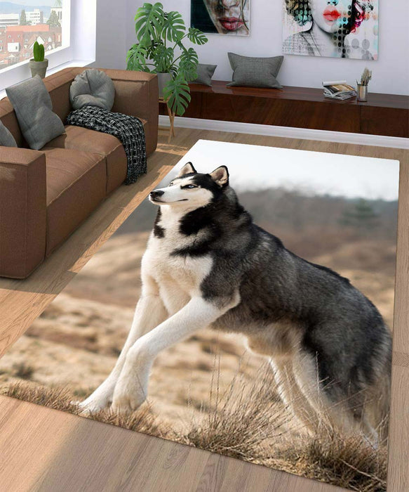 husky dog black white Living room carpet rugs