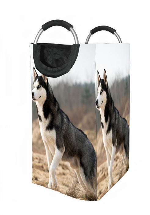 husky dog black white Laundry Hamper | Laundry Basket