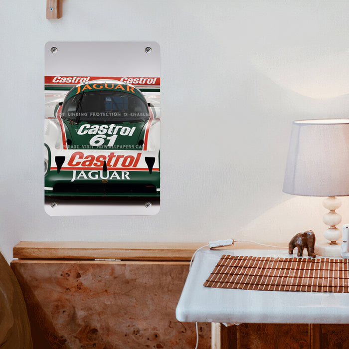 jaguar castrol car racing Poster Metal print wall art