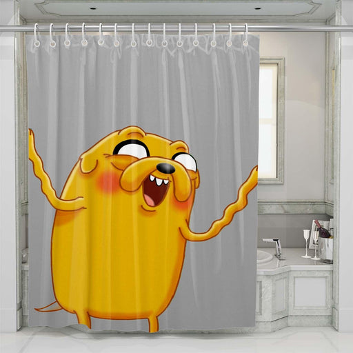 jake adventure time shower curtains