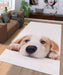 lazy dog Living room carpet rugs