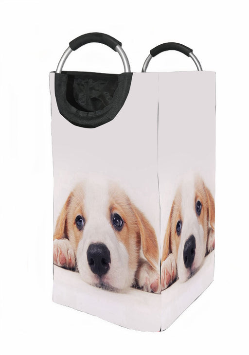 lazy dog Laundry Hamper | Laundry Basket