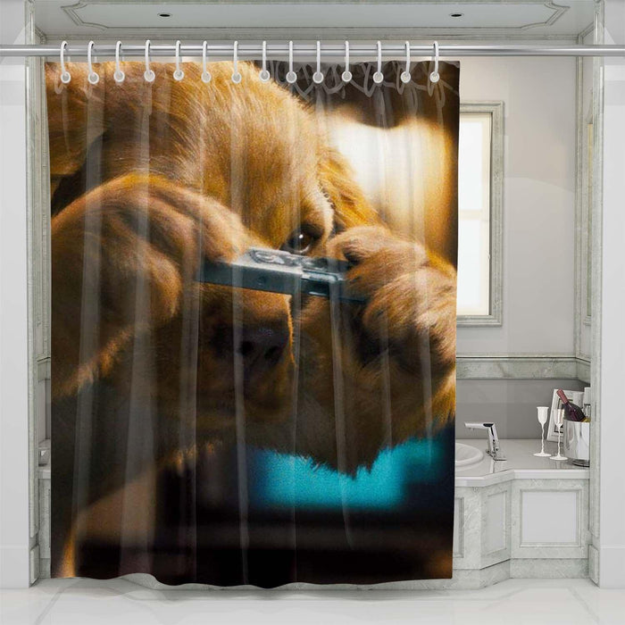 little dog shower curtains