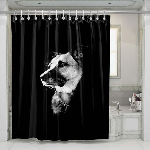 low light dog monochrome shower curtains