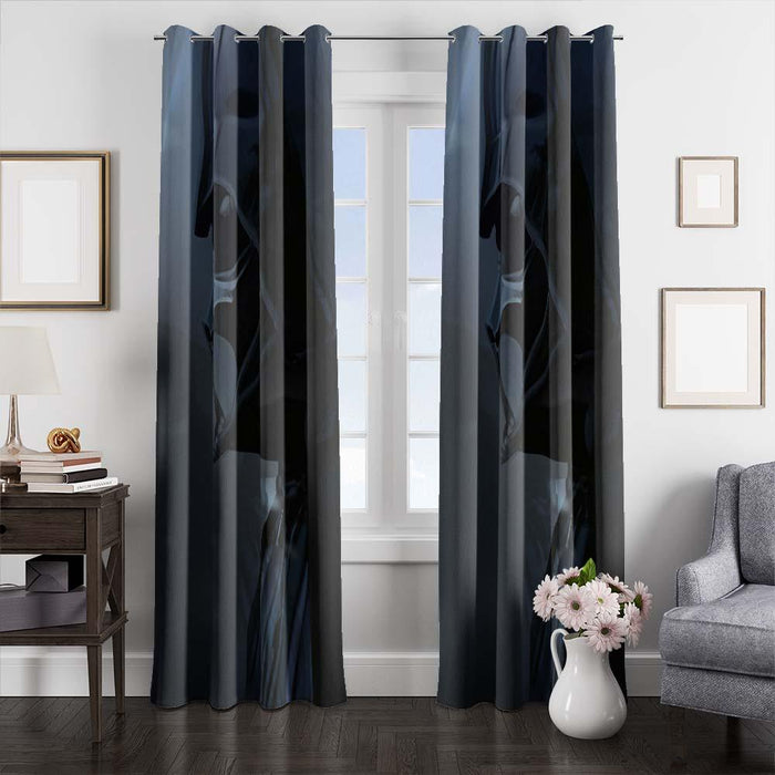 mad darth vader window curtains