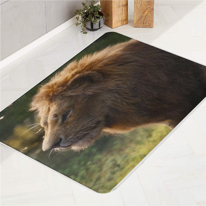 mufasa in the lion king remake bath rugs