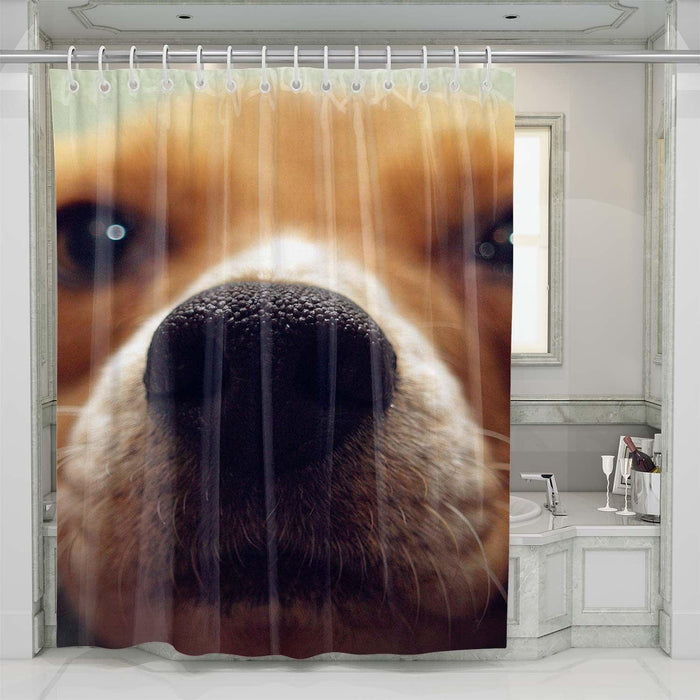 nose dog focus shower curtains