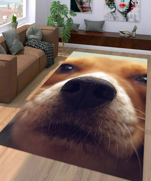 nose dog focus Living room carpet rugs