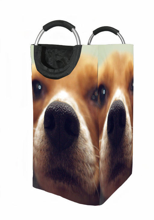 nose dog focus Laundry Hamper | Laundry Basket