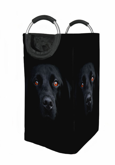 orange eyes dog Laundry Hamper | Laundry Basket