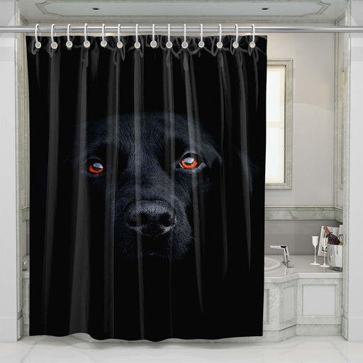 orange eyes dog shower curtains