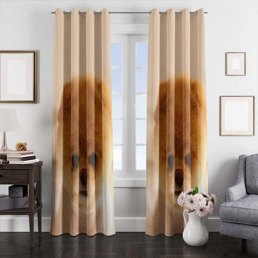 puppy dog cute window curtains