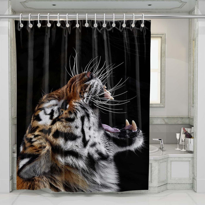 roar tiger shower curtains