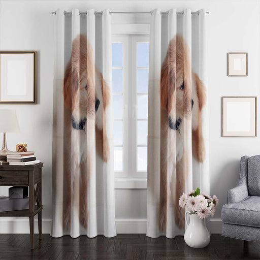soft dog window curtains