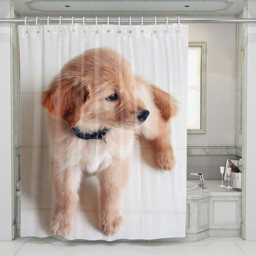 soft dog shower curtains