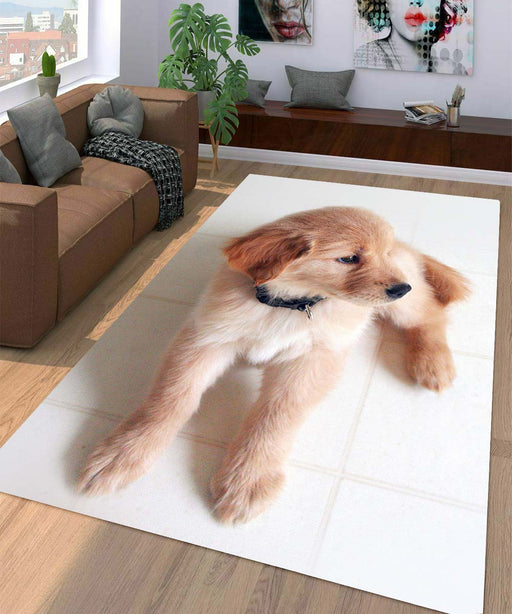 soft dog Living room carpet rugs