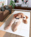 soft dog Living room carpet rugs