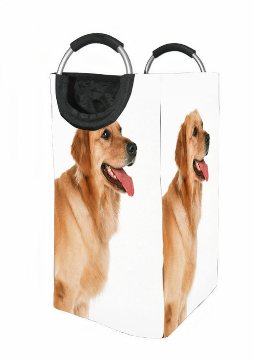 very soft dog Laundry Hamper | Laundry Basket