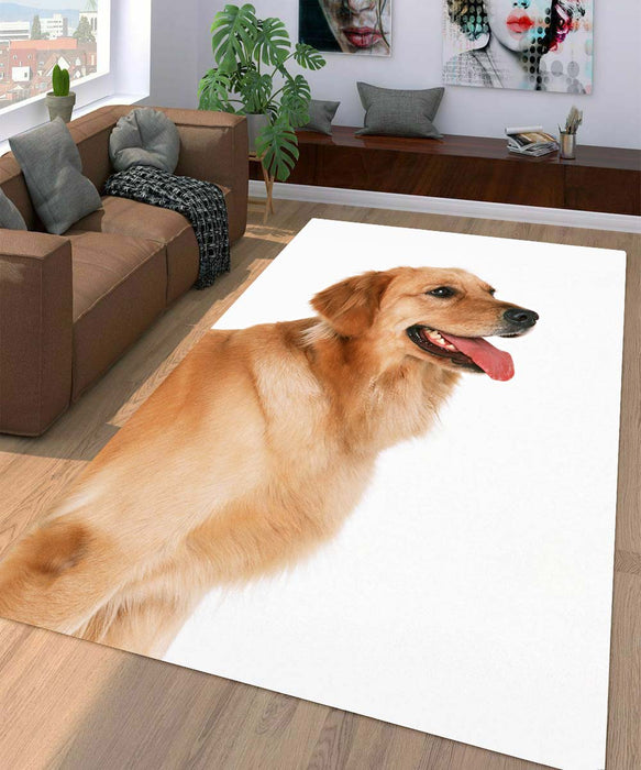 very soft dog Living room carpet rugs