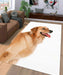 very soft dog Living room carpet rugs